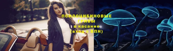 скорость Абаза