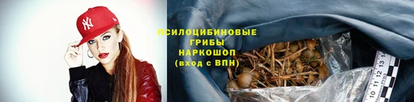 2c-b Абдулино