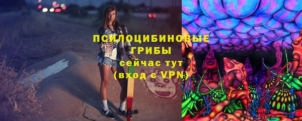 2c-b Абдулино
