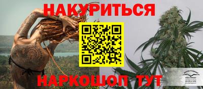 крисы Волгодонск