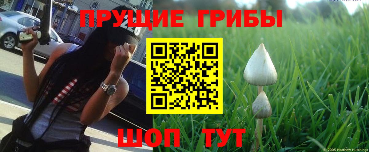 Советский  Галлюциногенные грибы MAGIC MUSHROOMS  Вход с VPN 