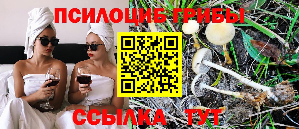 Псилоцибиновые грибы мицелий Советский